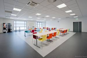 1776436907799026542-picture.jpg